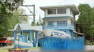 A number of tourists have been visiting the "barko-barko," a boat-shaped house in Ozamiz, Misamis Occidental province.