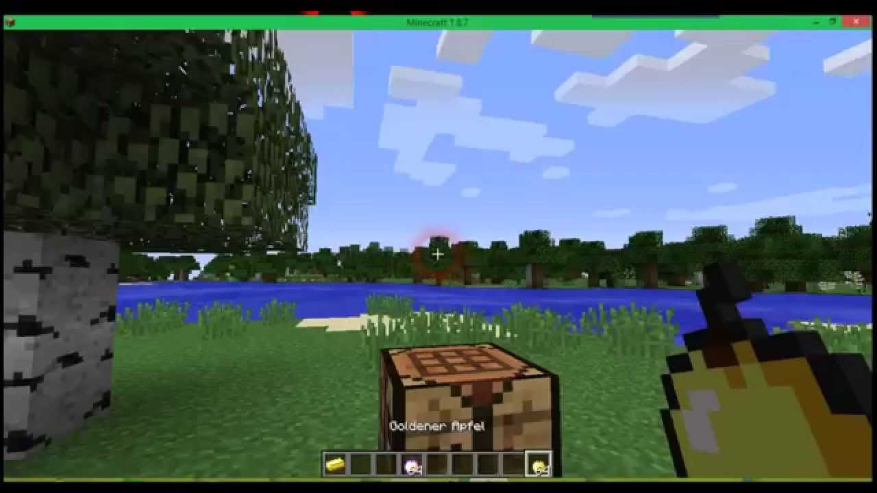 Die SELTENSTEN DINGE in MINECRAFT finden (40 STUNDEN)