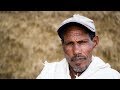 The Farmer (360 video)