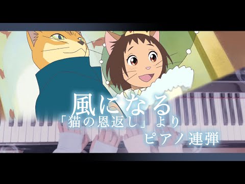 【ピアノ連弾/歌詞付き】風になる/猫の恩返し/つじあやの/スタジオジブリ