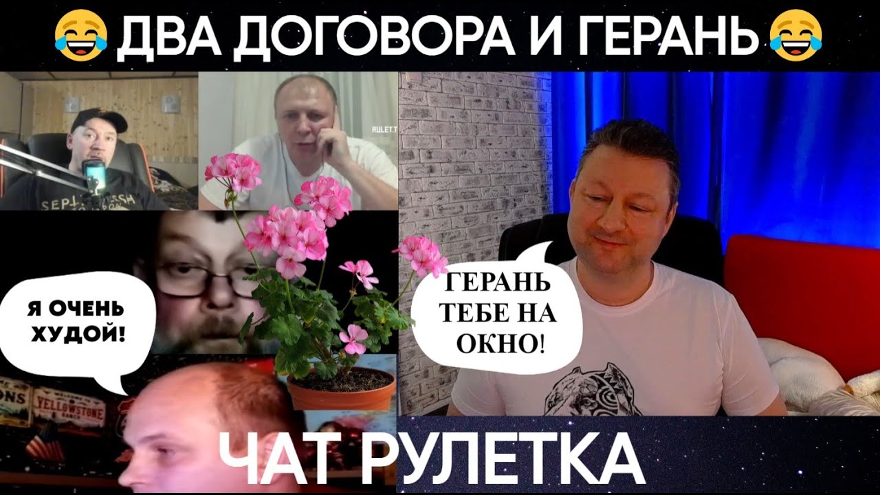 Два договора и герань на окне 😂(юмор) чат рулетка