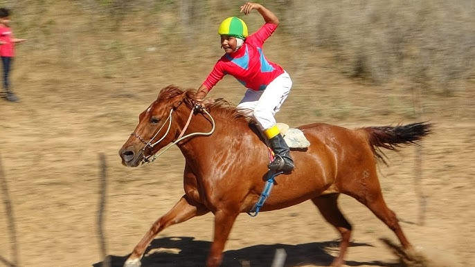 11 Esportes com Cavalos para conhecer e se encantar