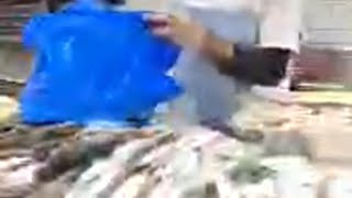 الكويت 🇰🇼 الفروانية ١١-١٠-٢٠٢٥