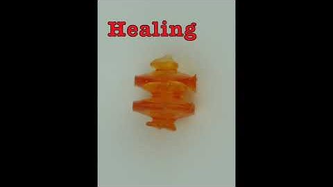 3D-printed self-healing soft actuator lifts weight after being cut in half