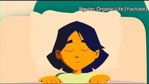 CHÚNG EM LÀM VIỆC TỐT - PHÚC THÀNH 12A8