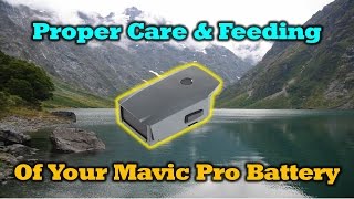 Mavic Pro Battery - Proper Care & Feeding screenshot 1