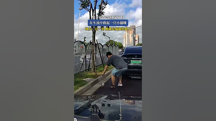 男子停車等紅綠燈時，在車流中救起一隻小貓咪，網友：這一刻他就是貓貓的超人