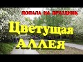 Асбест.Аллея Победы до реконструкции 2019 г.День пограничника!City Asbestos.Walk Of Victory