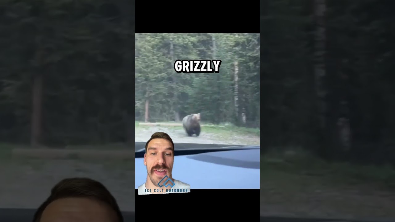 Gym motivation from nature 