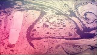 始まりと終わりのエクソダス