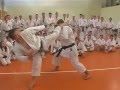 Kagawa sensei ura mawashi geri