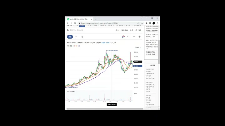 자동차 부품 관련주 DN오토모티브 1분 분석