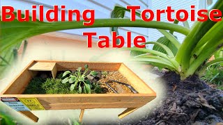 How To Build TORTOISE TABLE | THREETOED BOX TURTLE Enclosure | Build Series Ep. 5