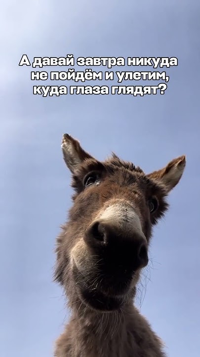 Захотелось? 🤩 #путешествия #авиасейлс - YouTube