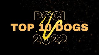 Presenting the PCCI top 10 dogs for 2022! by PHILIPPINE CANINE CLUB, INC. 1,689 views 1 year ago 2 minutes, 49 seconds