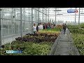 Белгородские школьники познакомились с разработками учёных Ботанического сада