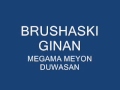 Burushaski ginan megamay meyon duwasan.