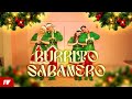CHRISTMAS DANCE David Bisbal El Burrito Sabanero Choreography By 1VISION Crew From Paraguay 