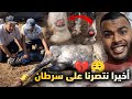 قالوا مستحيل يتشافى هذ الحـصـان بعد 7 أشهر من المعاناة مع ســرطان هذي هي النتيجة قالوا مستحيل يتشافى هذ الحـصـان بعد 7 أشهر من المعاناة مع ســرطان هذي هي النتيجة