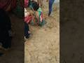 छठ पूजा अपने नायहार #लाइक_शेयर_और_सब्सक्राइब_ज़रूर_करें