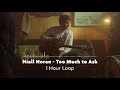 Niall Horan - Too Much to Ask (1 Hour Loop)