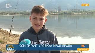видео: Тази сутрин: Уловиха сом гигант край Враца картинка: Тази сутрин: Уловиха сом гигант край Враца