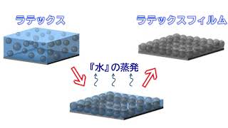 環境配慮型合成ラテックスフィルムの創出