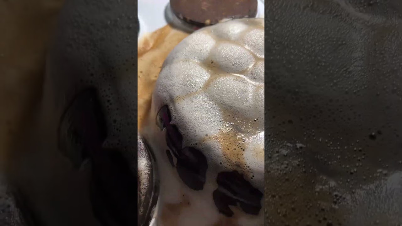 Антижир WB &mdash; WW119986 OZON &mdash; 1451374826