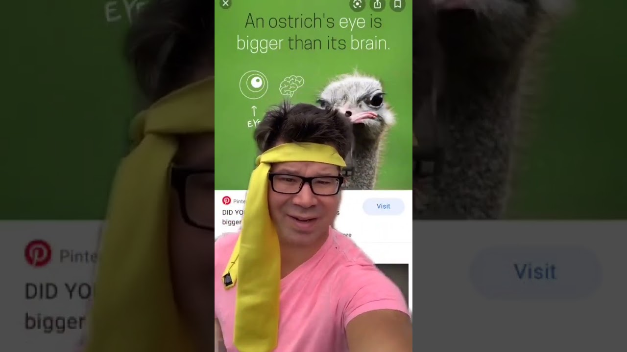 Weird News from around the World. Weird facts about animals part 2.