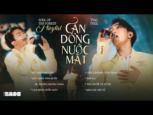 Tăng Phúc Playlist - Kỳ Vọng Sai Lầm, Cạn Dòng Nước Mắt, Chỉ Là Không Cùng Nhau #souloftheforest class=