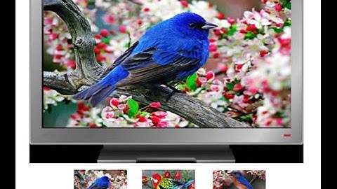 Html com Fireworks, fatiamento para gerar imagens interativas