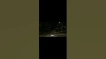 قلبي وقلبك صارو متل جبال مابيتلاقو خريف وطارو وراقو حالات واتس ستوريات انستا بدون موسيقى 
