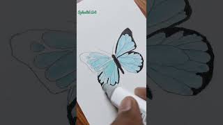 Butterfly 🦋 #shorts #youtubeshorts