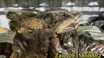 8 tác dụng chính của quả nhàu khô. giá quả nhàu khô báo nhiêu 1kg