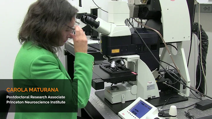 Princeton Innovation: Novel technology aims to imp...