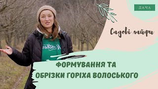 Як Виростити Волоський Горіх? Формування та Обрізка Горіха.