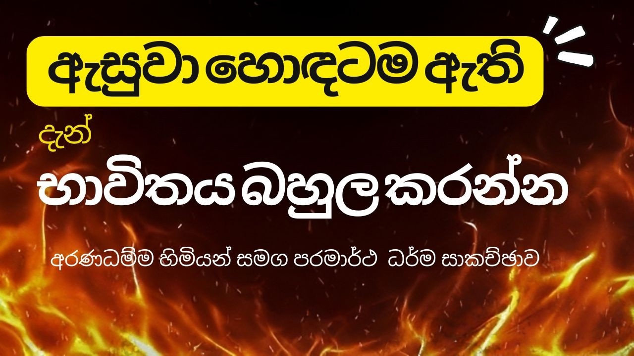 ධර්මය ඇසුවා හොඳටම ඇති! දැන් ප්‍රායෝගික වන්න | අරණධම්ම ස්වාමීන් වහන්සේ ☸️