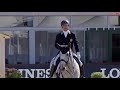 Carlos pinto  sultao  69518   grand prix  hagenchampionnat europe 2021