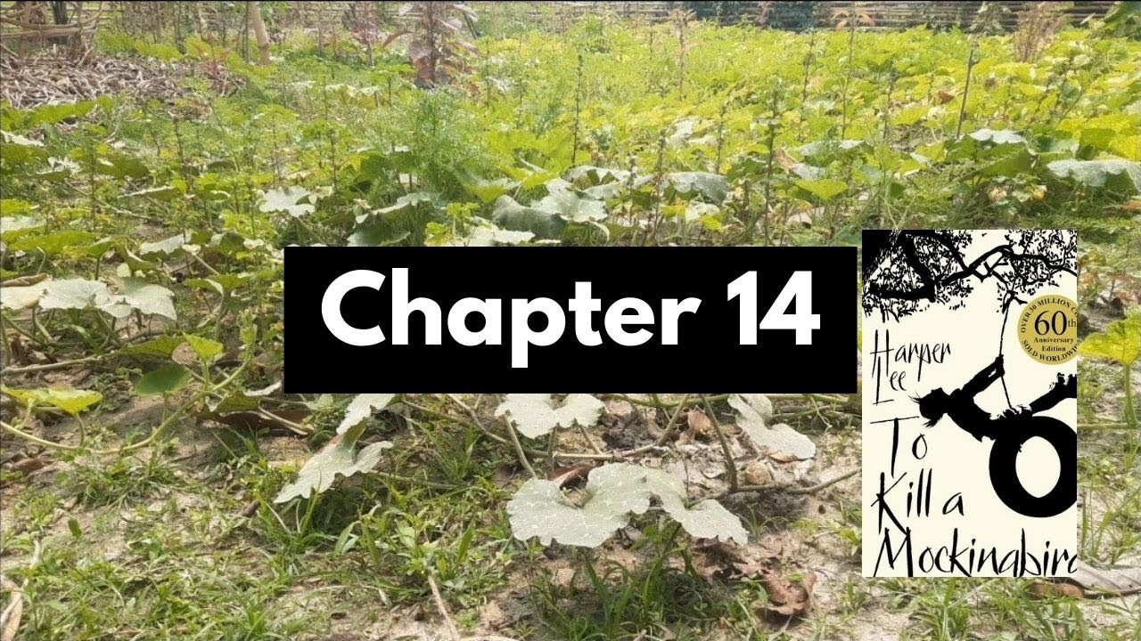 ASMR reading of "To Kill A Mockingbird Chapter 14" YouTube
