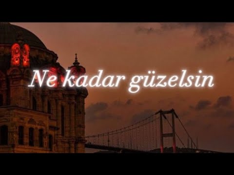 Mustafa Ceceli - “Ne kadar güzelsin”🎵❤️ турецкий песни #music Машаллах караоке не кадар