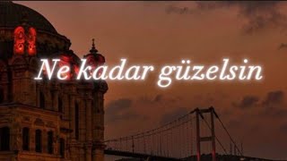 Mustafa Ceceli - “Ne kadar güzelsin”🎵❤️ турецкий песни #music Машаллах караоке не кадар