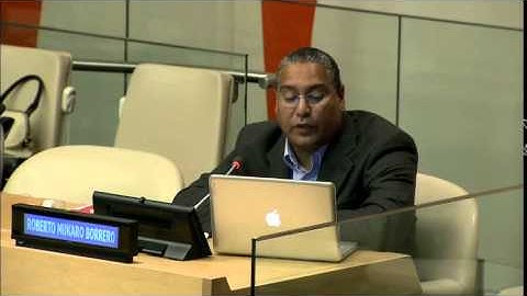 Roberto Mukaro Borrero, United Confederation of Taino People - UN WSIS+10 consultation