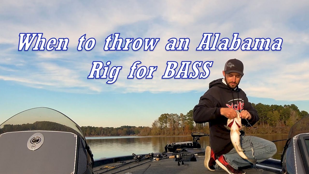 When to throw an Alabama Rig for Bass 