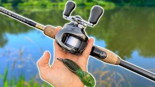 The BEST Way To Catch AGGRESSIVE Bass (Bank Fishing)