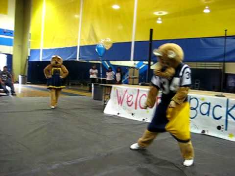 Warren high school mascot dance/skit fall rally 20...