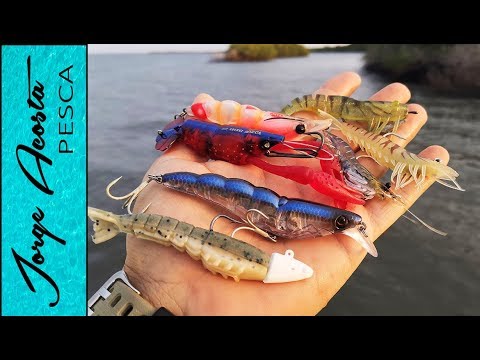 Probando diferentes SEÑUELOS de CAMARON - Pesca de pargo 