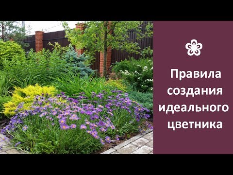 ❀ Правила создания идеального цветника