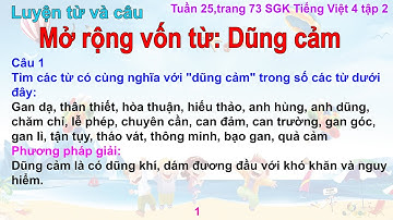 Luyện từ và câu: Mở rộng vốn từ: Dũng cảm - Tiếng việt lớp 4 - Tập 2, Tuần 25, Trang 73