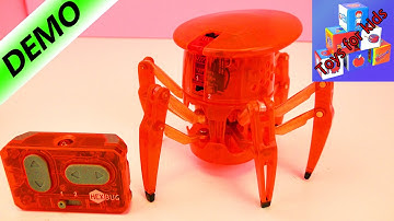 HEXBUG SPIDER - GIANT ROBOT SPIDER - Remote Control Toys - Unboxing & Demo