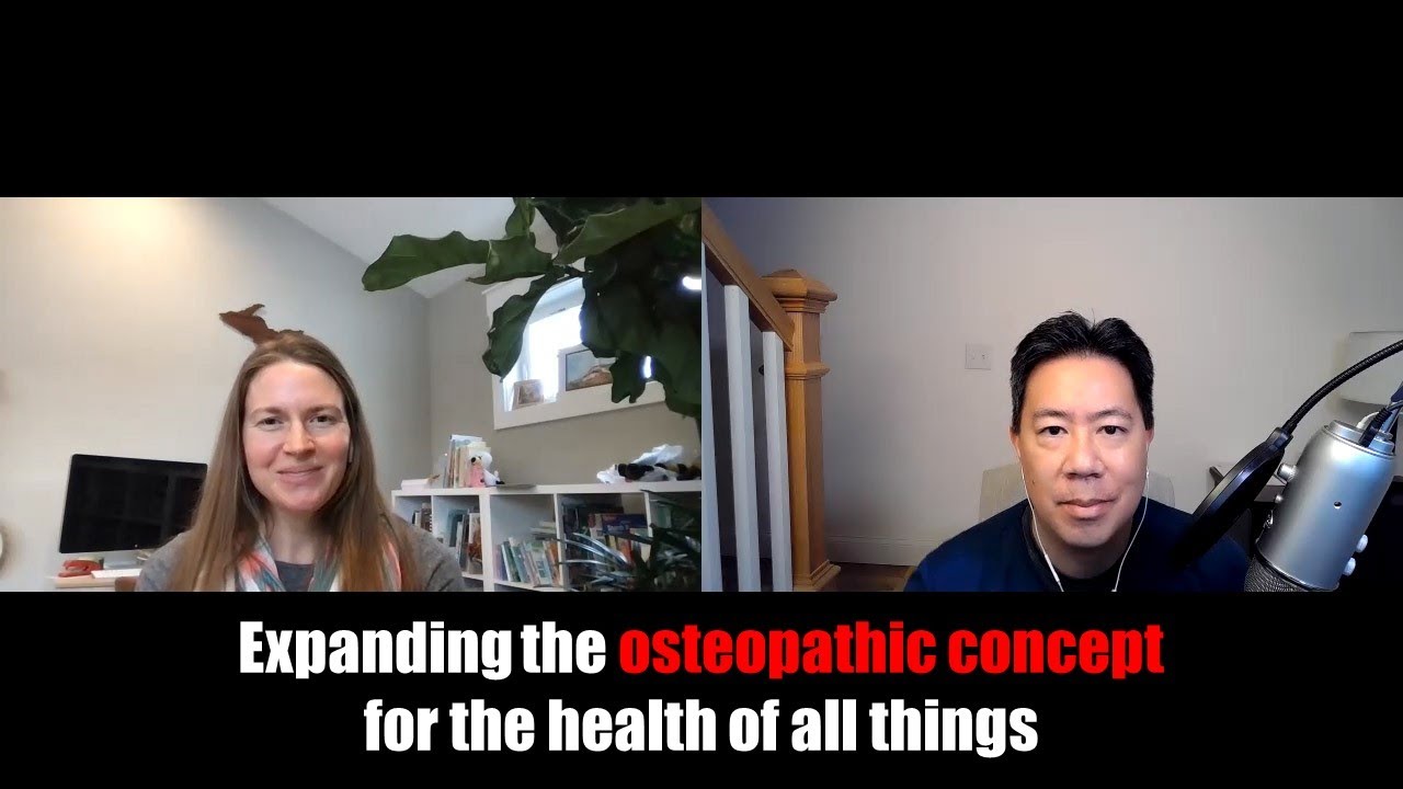 Expanding the osteopathic concept for the health of all things